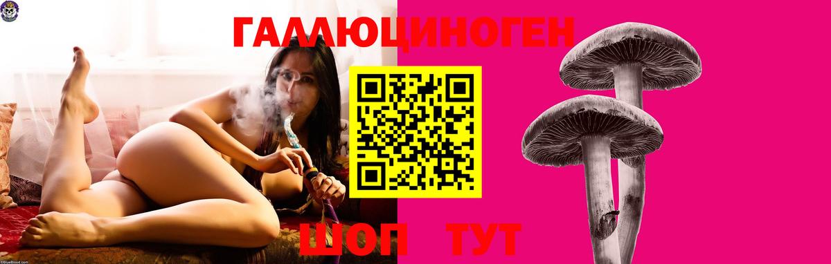 Псилоцибиновые грибы Psilocybine cubensis  Вход с VPN  Ржев 